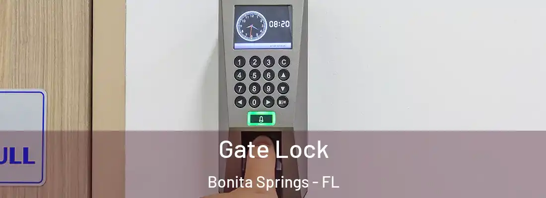 Gate Lock Bonita Springs - FL