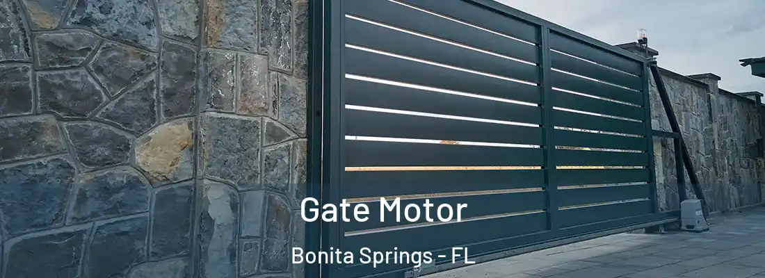 Gate Motor Bonita Springs - FL