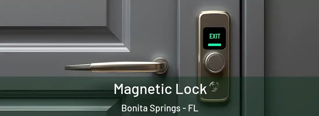 Magnetic Lock Bonita Springs - FL