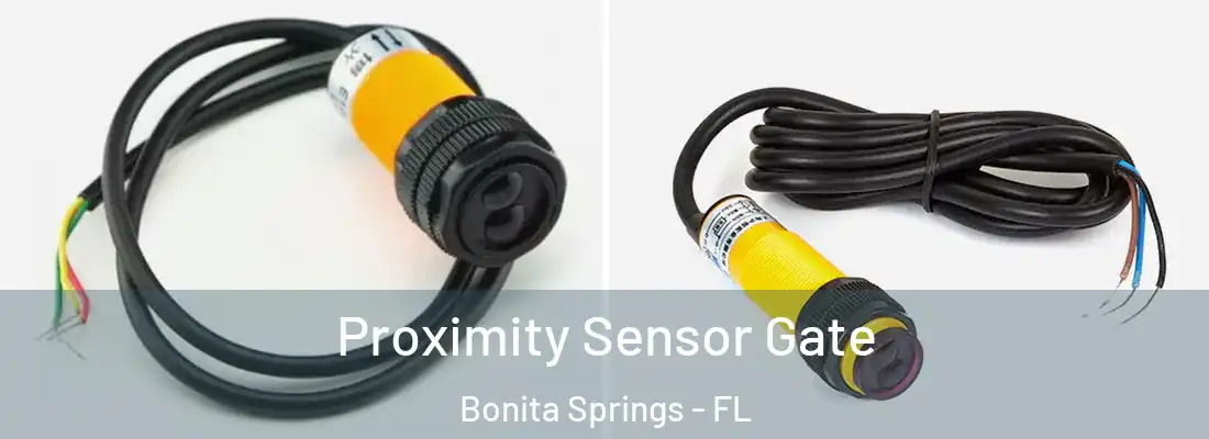  Proximity Sensor Gate Bonita Springs - FL
